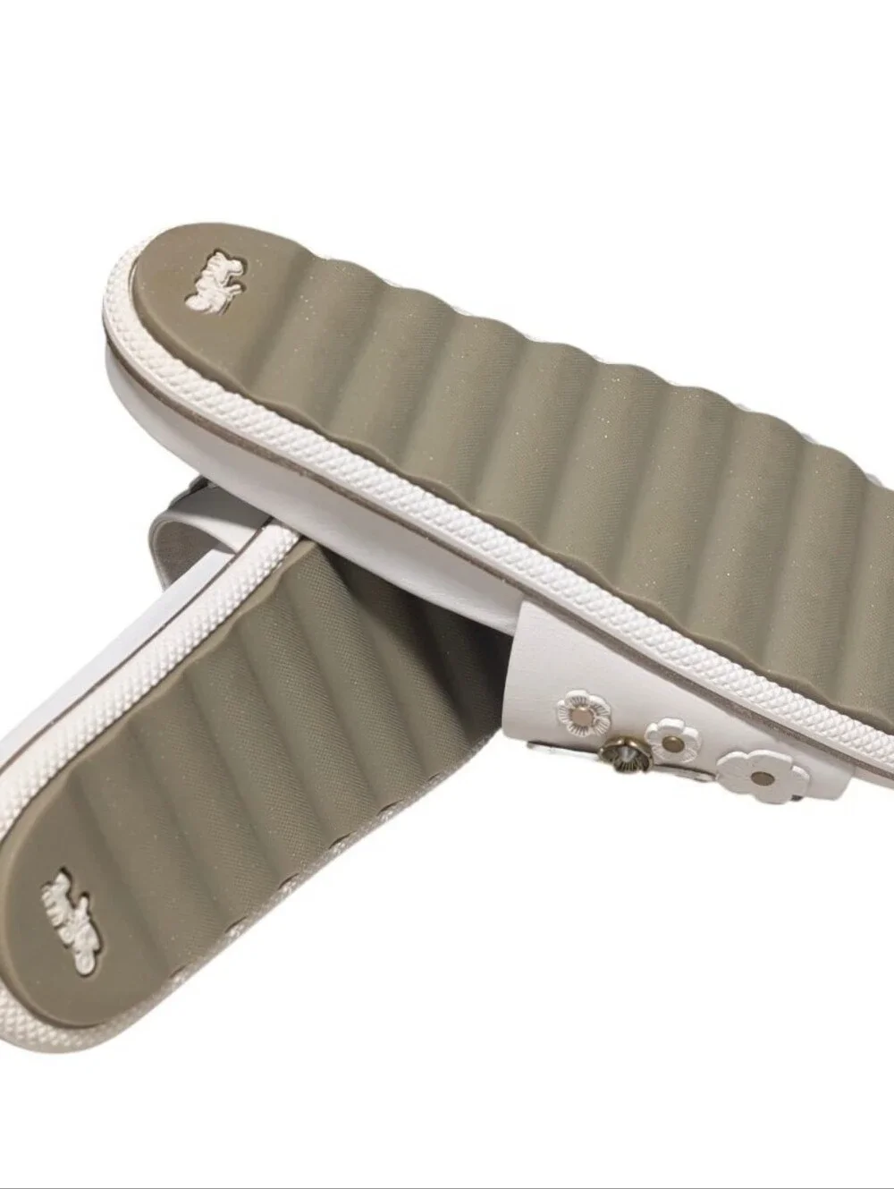 Coach these slides